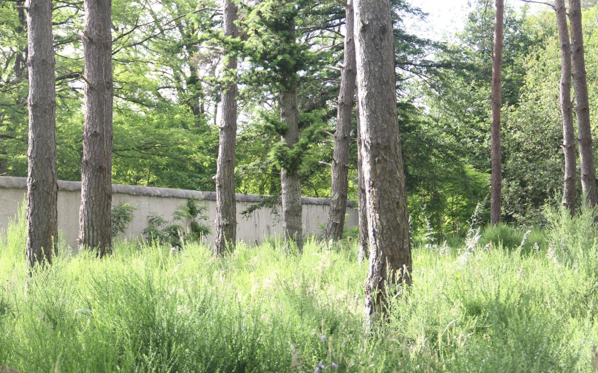 Le Refuge De Chambord Villa Thoury Bagian luar foto